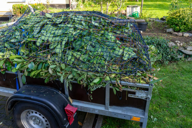 Best Residential Junk Removal  in Signal Hill, CA